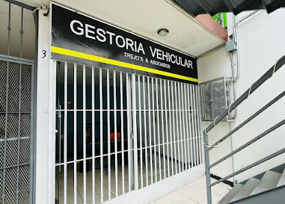 Gestoria Vehicular Texmelucan